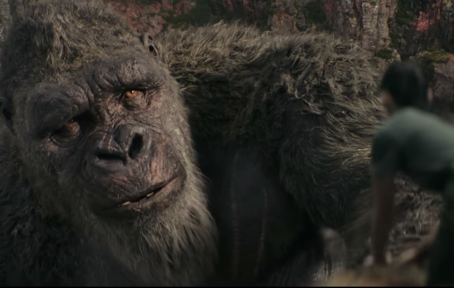 'Godzilla x Kong: The New Empire' Cast & Crew